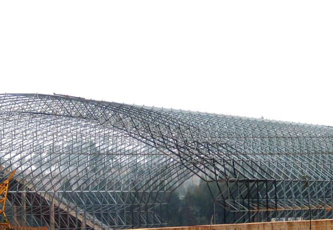 東駿水泥有限公司粉砂巖預均化堆場、原煤預均化堆場螺栓球節點拱形頂大型網架